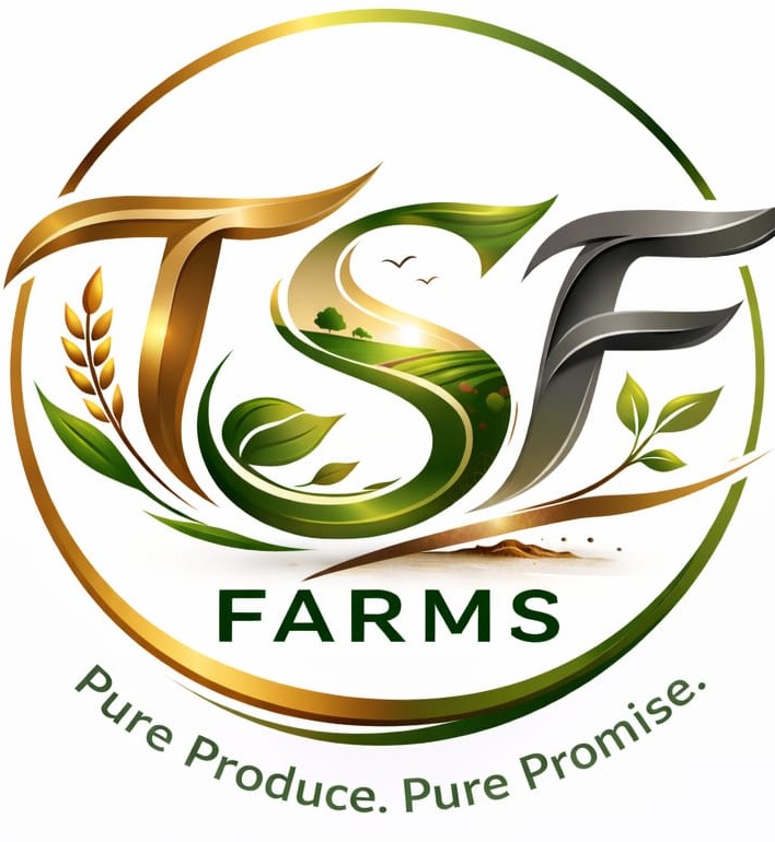 My Website Logo